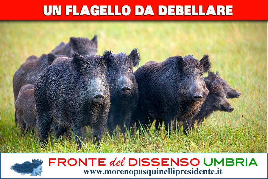 Un flagello da debellare